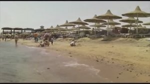 Ali Baba Palace 4 Апрель 2012