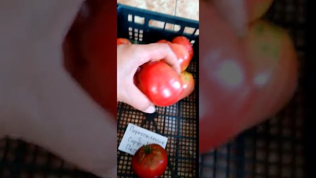 Переопыление с Сержантом Пепперс смотреть онлайн