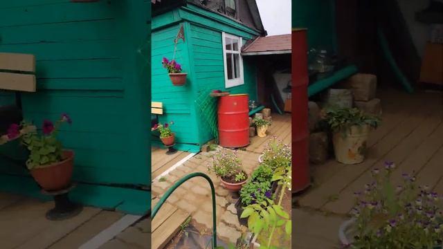 Дачная жизнь. 🧑🌾Вчера красили потолок и собирали к смотреть онлайн
