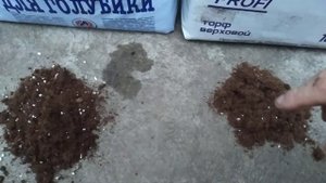 Верховой торф-два производителя,тестируем какой лучш?