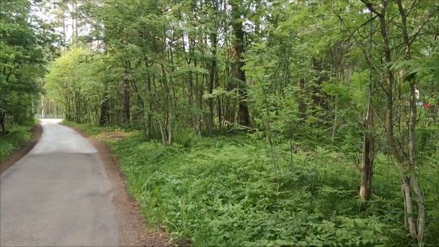 Away from the city   Вдали от города.. смотреть онлайн