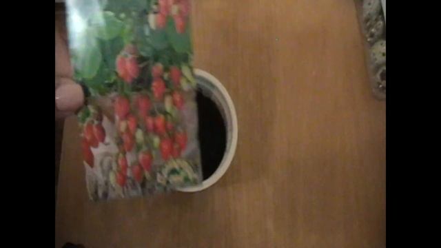 Как посеять землянику! смотреть онлайн