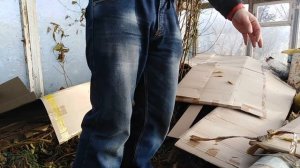 Гранат,киви,инжир. Укрытие на зиму