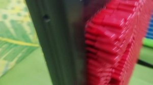 с БАСИКАМИ в отпуске ✨🌊