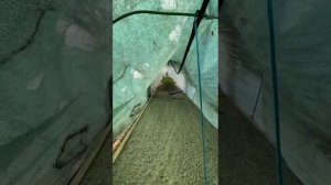 Сделали уличный череночник с туманом.