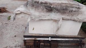 Кто изолирует маток,учитесь правильно использовать б?