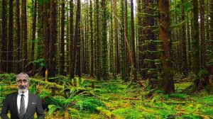 Развитие покрытосеменных (цветковых) растений и "Отвр?