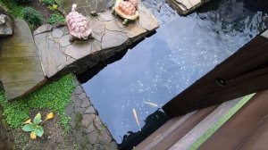 Сочи, Красная поляна, греческое подворье