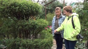 Сад мечты своими руками