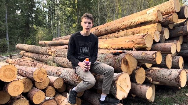 Классификация и преимущества моторных масел Stihl. Про п смотреть онлайн