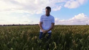 В российских регионах началась подготовка к посевной