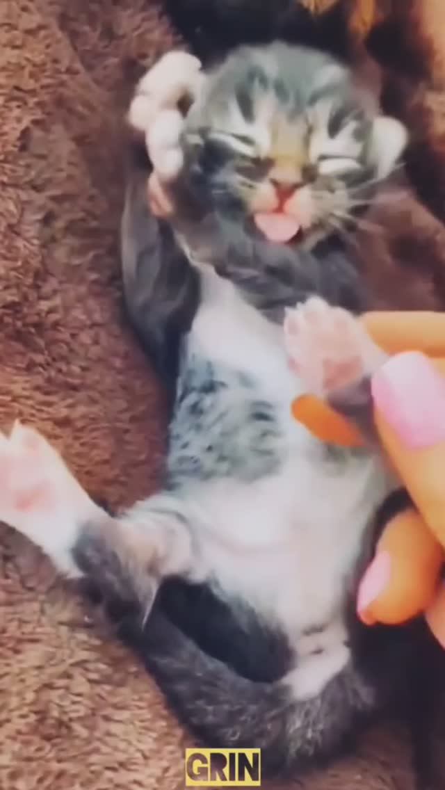 Проснулись - улыбнулись...🥰
