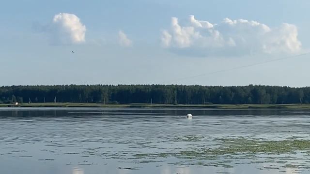 Прилет Роя в улей и нулевая рыбалка в деревне Суфино смотреть онлайн