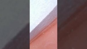 VID_20250813_132607.mp4