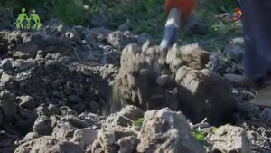 Грядка Хольцера полная версия   Sepp Holzer's Permaculture