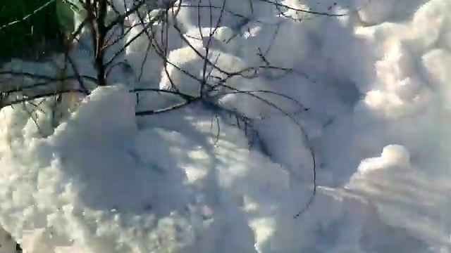 Рут по Цебро. Беглый осмотр в конце зимы. смотреть онлайн