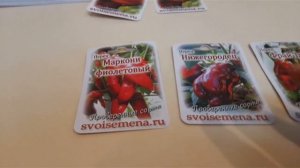 Обзор  семена  Медведева