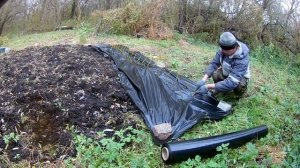 Посадил осенью 5 сортов ивы черенками - и вот они спуст?