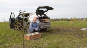 Тренировка спортивных голубей.Сезон 2025 года открыт. М?