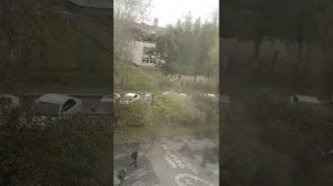 стрим в школе