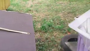 Кормушка для пчел "Василек" 10 литров .Установка на пото