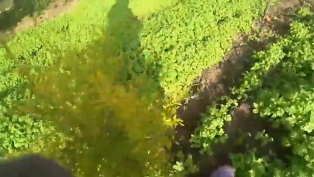 Обзор участка 20 соток. КУПИЛИ ДОМ НА ЮГЕ. смотреть онлайн