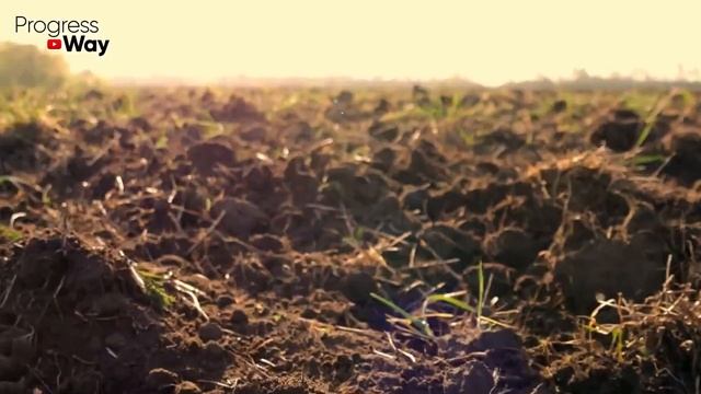 Весной ваша земля будет как после 3 камазов навоза есл? смотреть онлайн