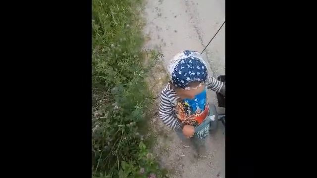 УРА!ЗАКОНЧИЛИ ЗАБОР.ПЧЕЛЫ АТАКУЮТ.ВКУСНАЯ КЛУБНИКА. смотреть онлайн