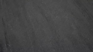 сев суданской травы на сено