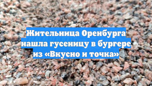 Жительница Оренбурга нашла гусеницу в бургере из «Вкусно и точка»