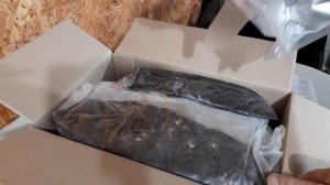 Шампиньоны в доме  Получится?