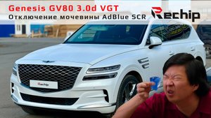 Отключение мочевины Genesis GV80 3.0 дизель VGT