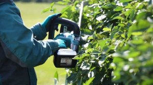 Makita DUH606 обзор аккумуляторного кустореза