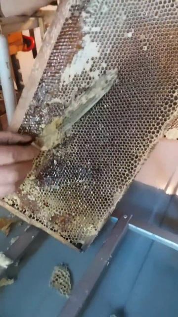 Качаем мед в Тамбовской области смотреть онлайн