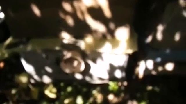 подкормка в зиму пчел в августе и сентябре, злые пчелы, смотреть онлайн