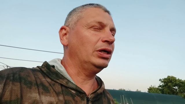 Уход за виноградом после цветения смотреть онлайн