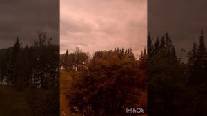 Сентябрь, природа и мелодия испанской гитары.mp4