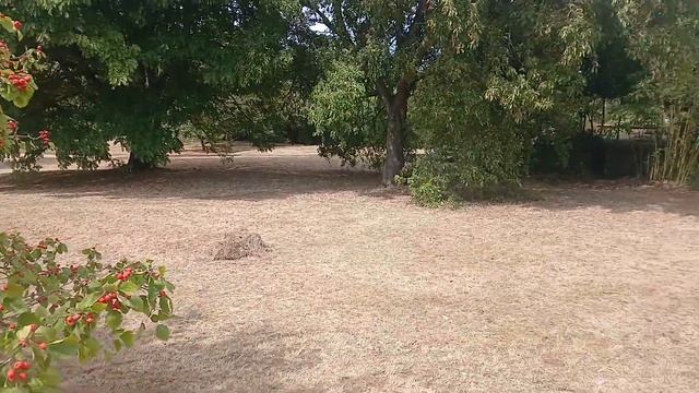 Сады Great Dixter (часть 2). смотреть онлайн