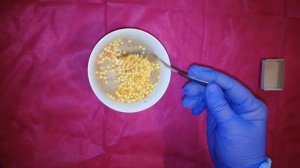 Как правильно обработать свои семена перца. Обработка