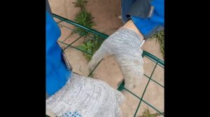 Арка для роз своими руками