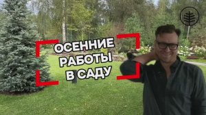 Осенние работы в саду