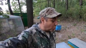 ✅ Про БАКФАСТ и КАРНИКУ что лучше..?! #ПЧЕЛОВОДСТВО5