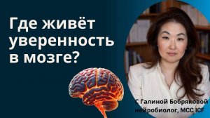 ГДЕ ЖИВЁТ УВЕРЕННОСТЬ В МОЗГЕ?