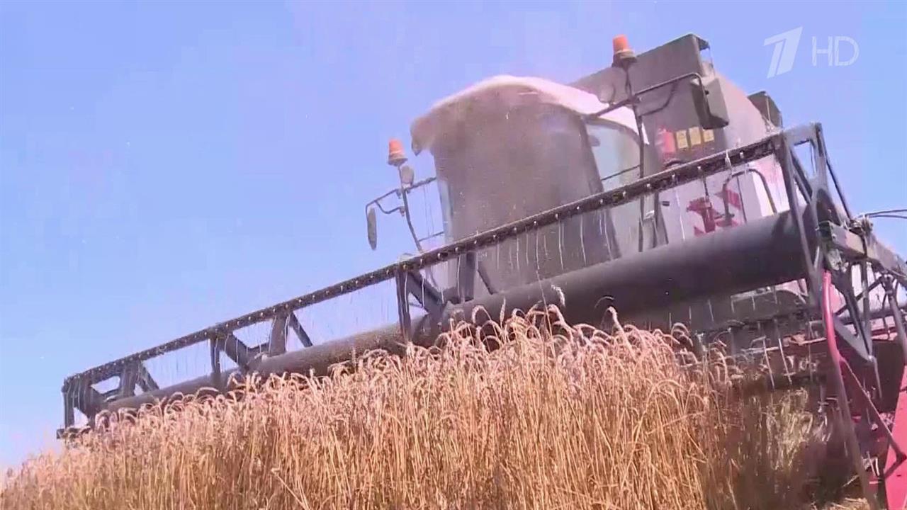 Более ста миллиардов рублей выделило в 2025 году государство на поддержку аграриев