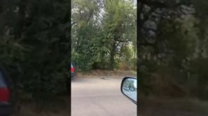 Эх , Украина !