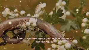 Решив сделать сюрприз, вдова приехала к свекрови на да