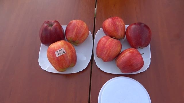 Яблоня ТОП РЕД (ДЕЛИШЕС) смотреть онлайн
