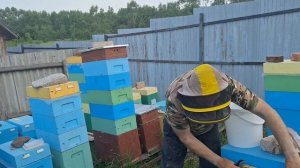 КАРНИКА ЕВГЕНИЯ КОРНЕВА .РАБОТА СЕМЬИ С МАТКОЙ,, ИО,, .