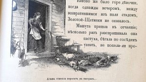 «Свинка золотая—щетинка». Сказка В.П. Андреевской.