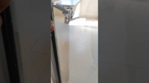 Отвезла Ротвеллершу в Идею на операцию